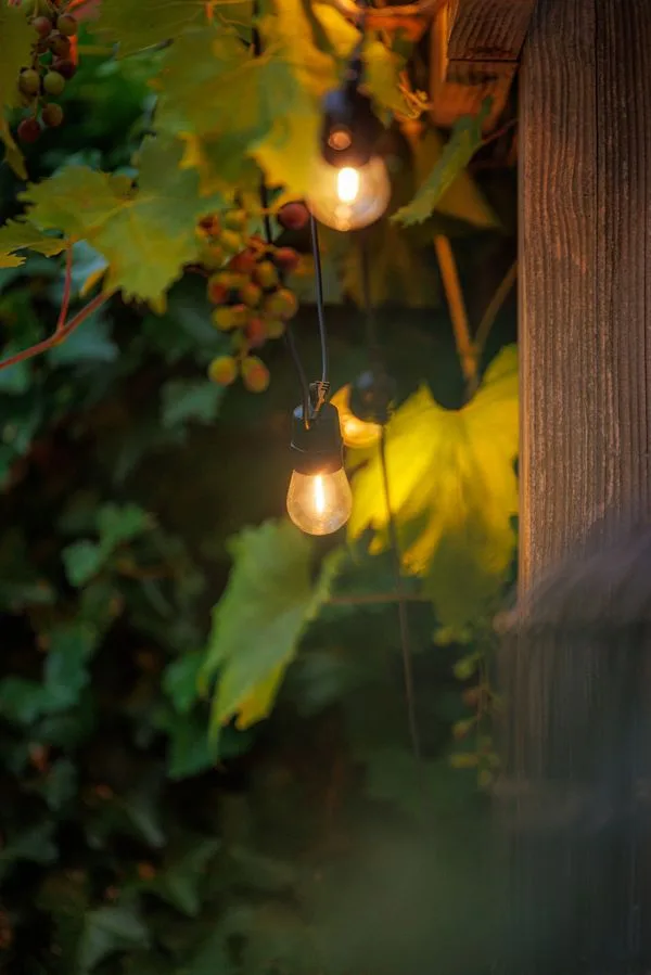 Garden Lights Partylights Filament