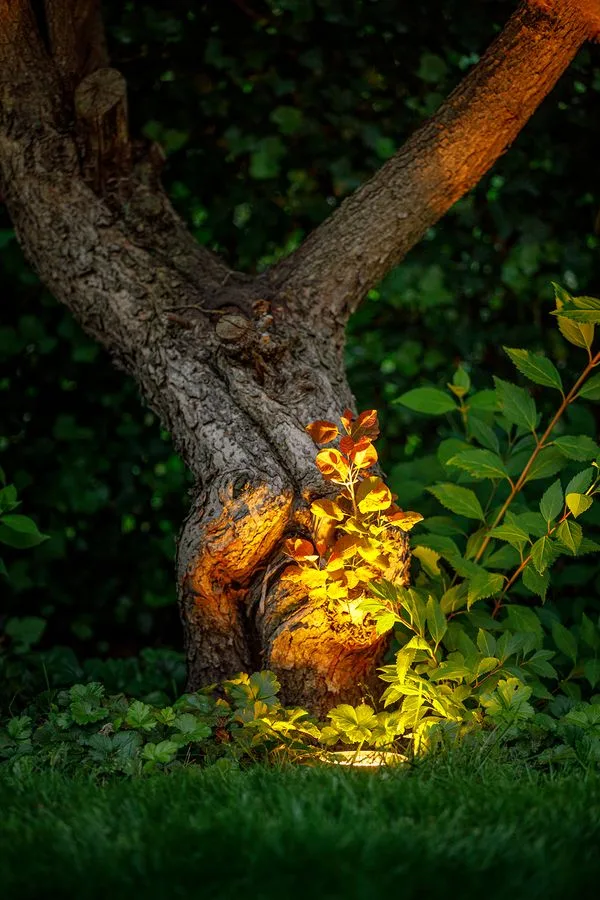 Garden Lights Rubum