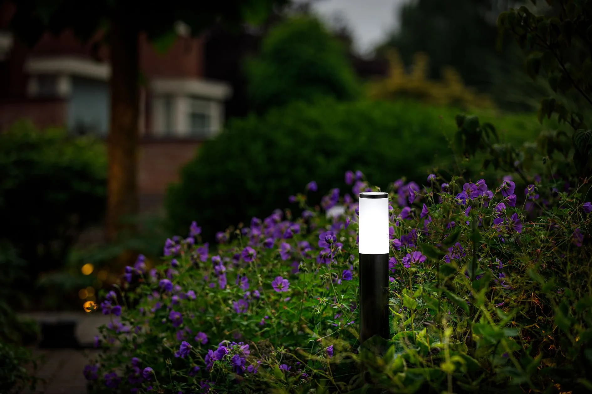 Garden Lights Lunia Black