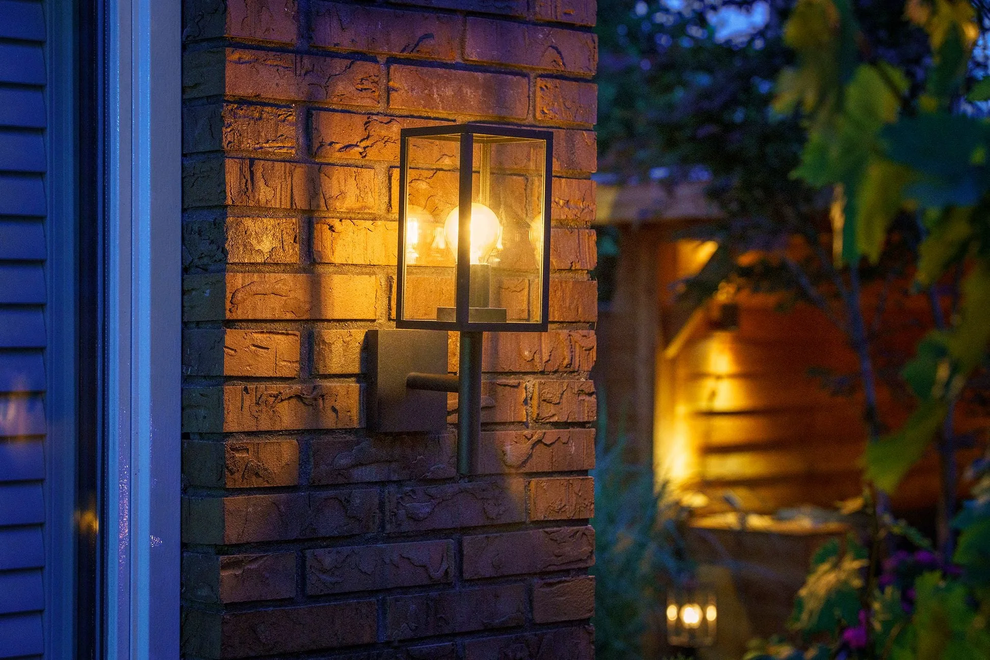 Garden Lights Celata