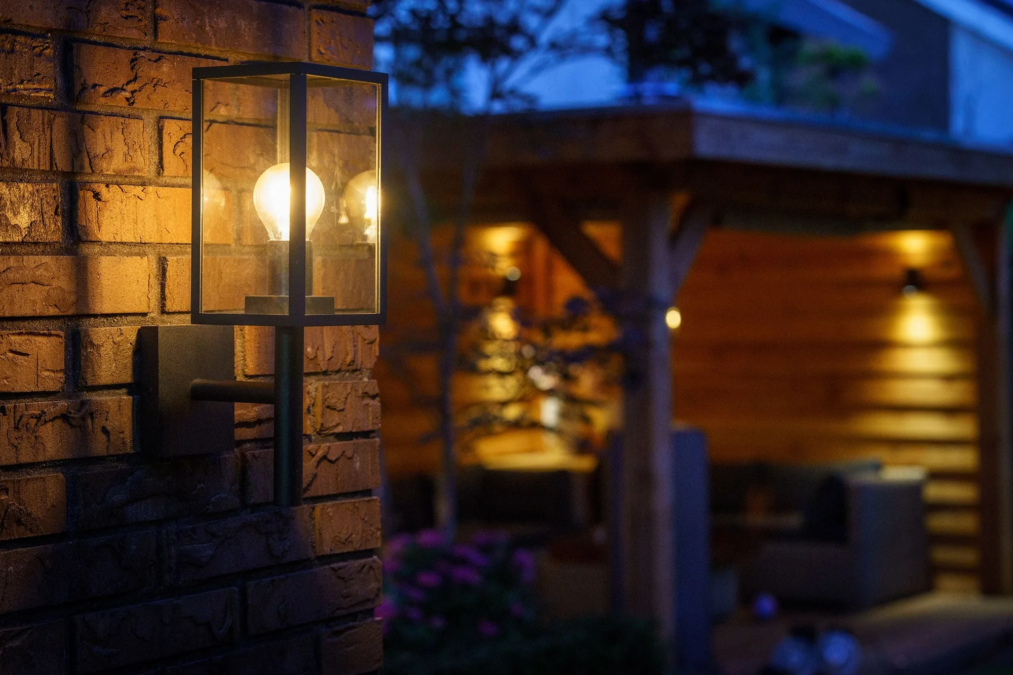 Garden Lights Celata
