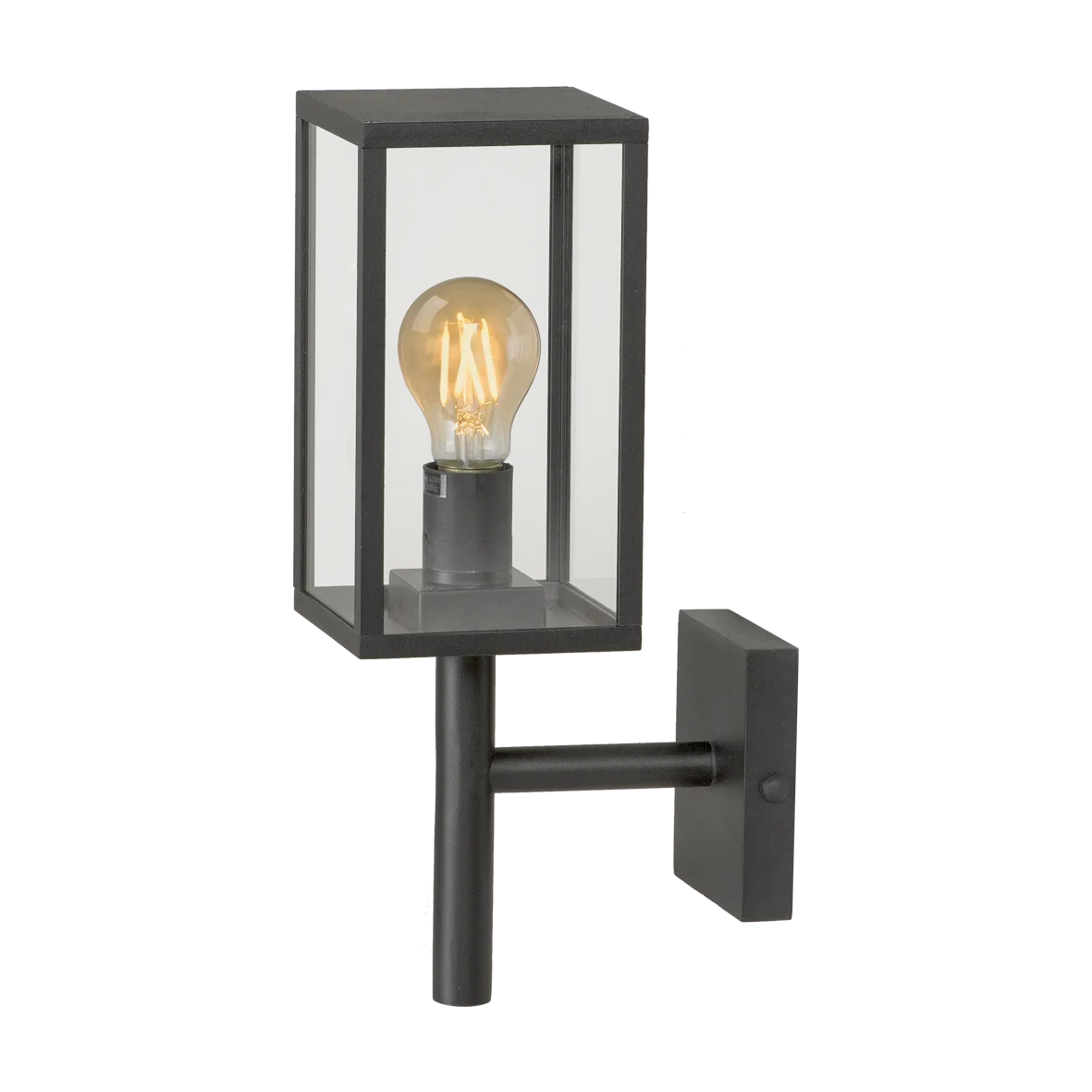Garden Lights Celata